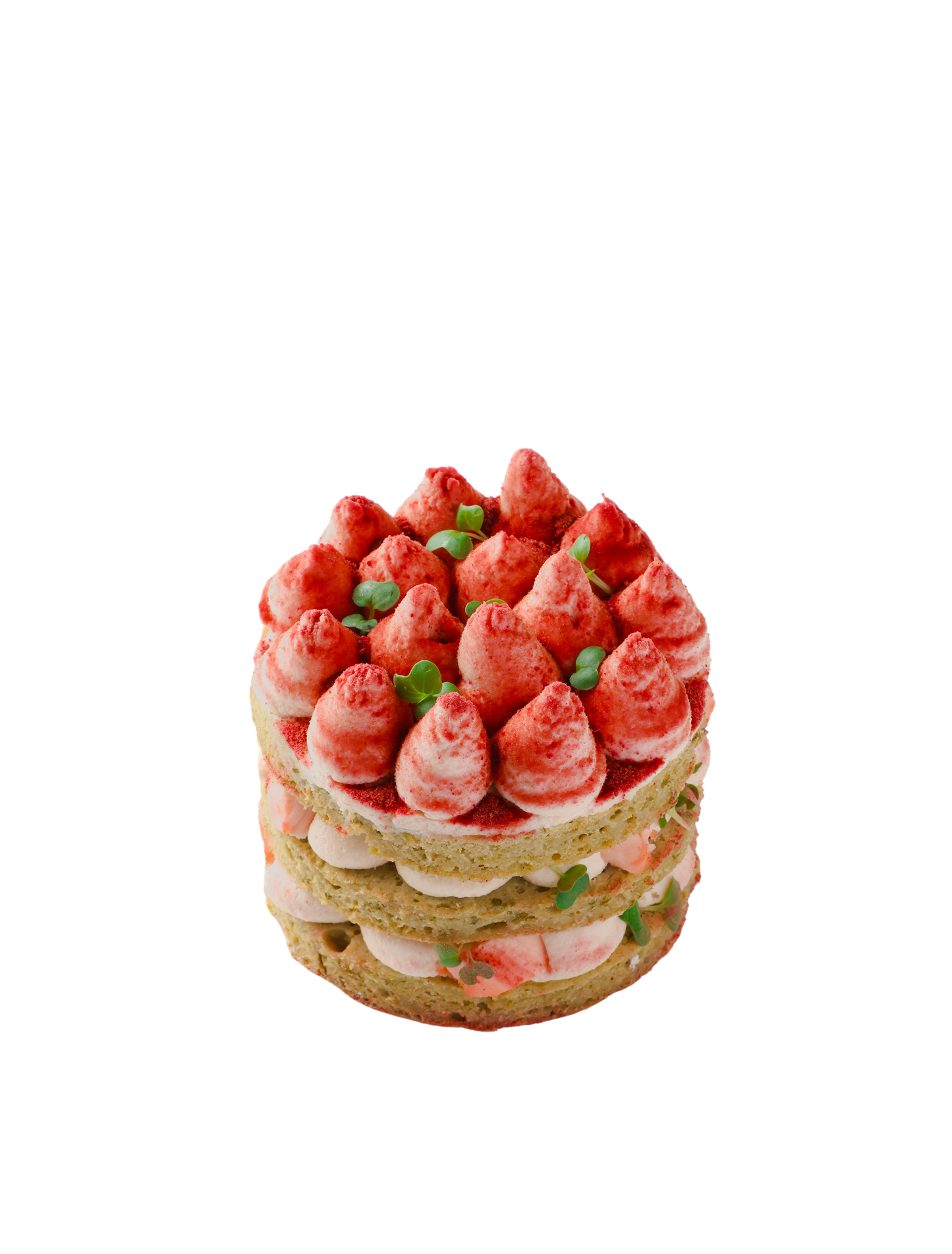 Salmonated Cake