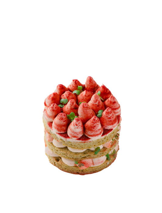 Salmonated Cake