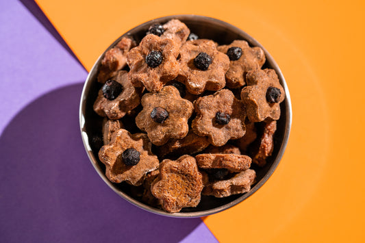 Blueberry Cheesecake Treats